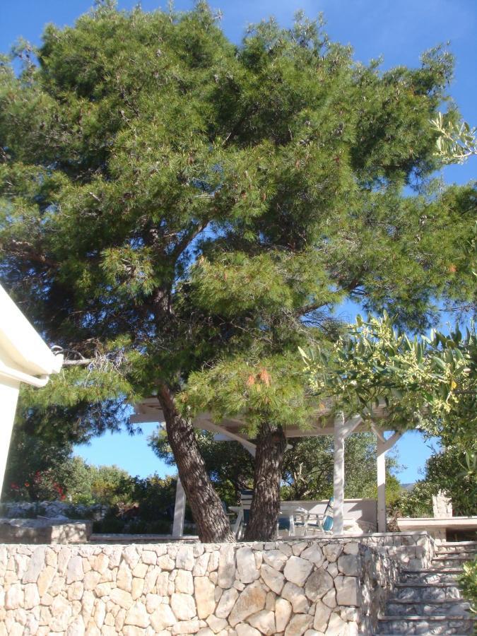 Beach House Blue Lagoon Okrug Gornji Exterior foto